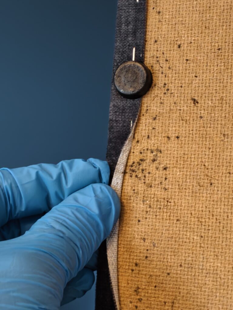 gniazdo pluskiew gniazdo pluskiew