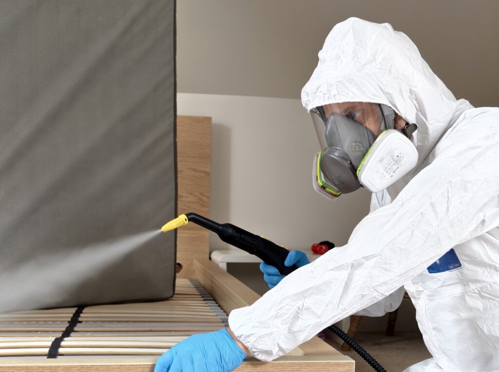 Usuwanie Pluskiew Kraków Profesjonalne usuwanie pluskiew w Krakowie metodą parową