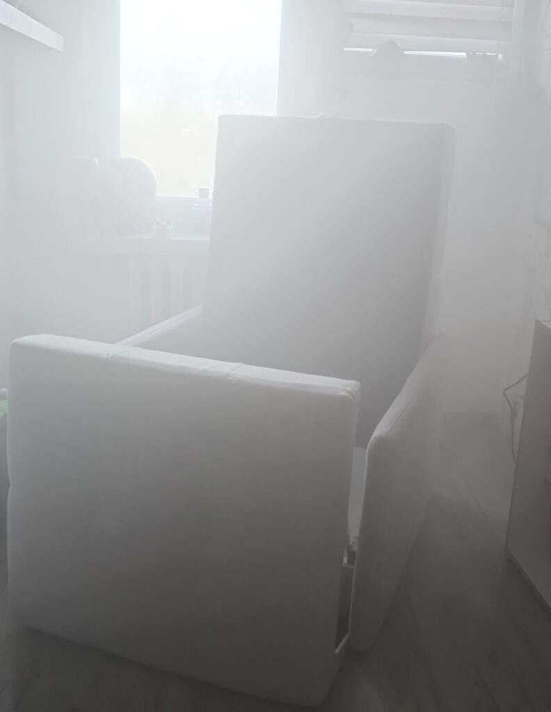 zamgławnianie-usuwanie-pluskwy